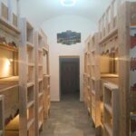 8 Bed Female Only Dorm