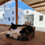 Comfortable room facilities at Viva Santorini